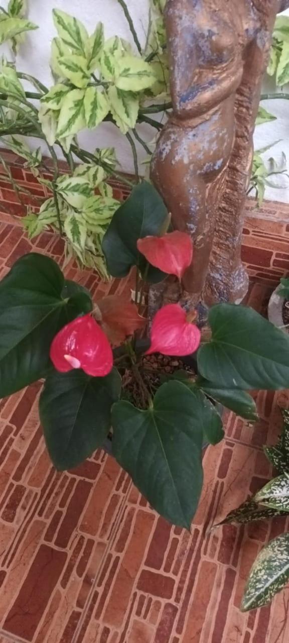 Leisure Home 可倫坡 外观 照片